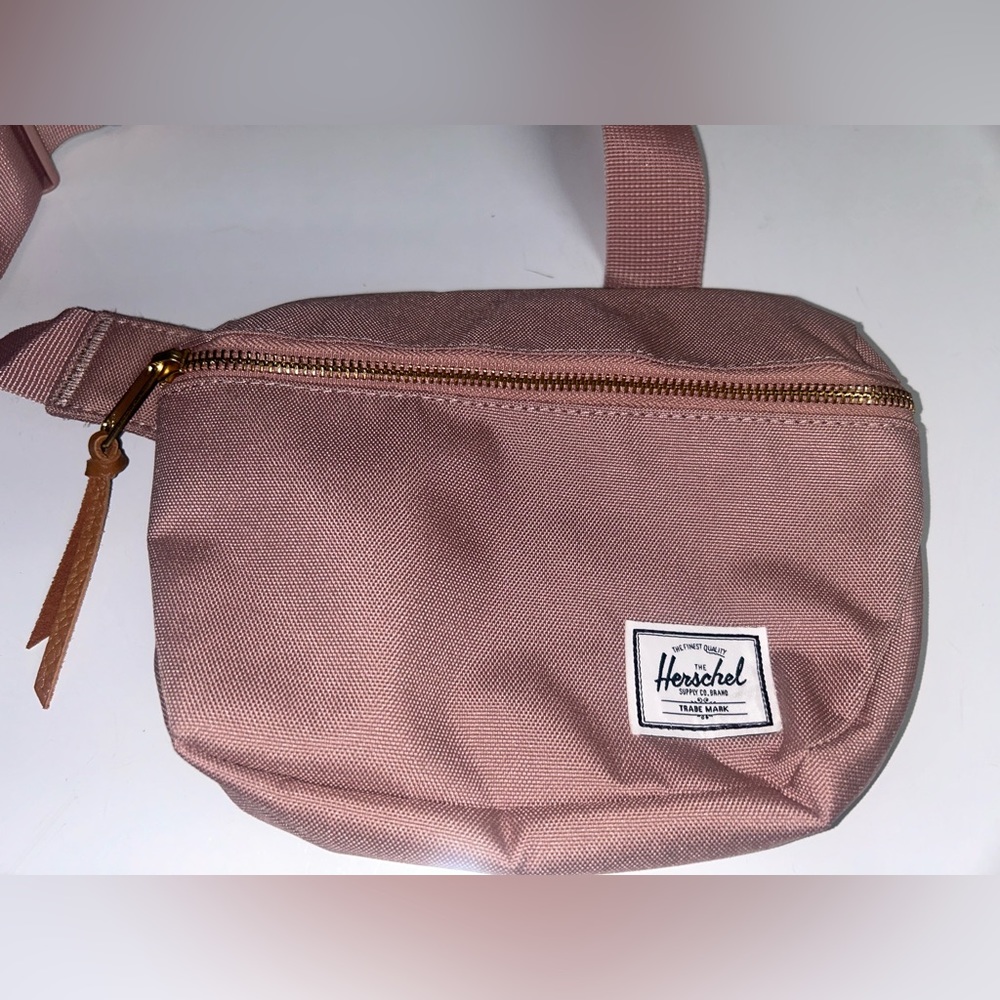 Hershel Fifteen Hip Pack